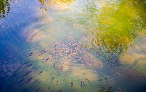 ��� ��������� ������� �� �������� � ������ ������� ��������� �� 21 ���. ����