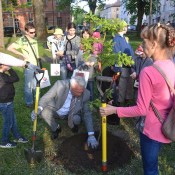 ��� �����-2018: ��������� ��������� (�����)