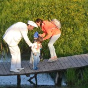 ��� �����-2018: ��������� ��������� (�����)