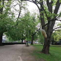 ��� �� ����� ��������� �������?