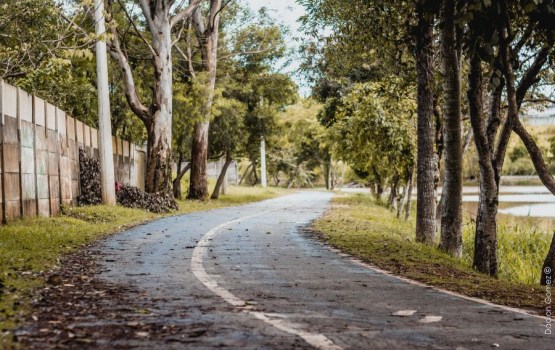 ����� ��������: ��������� � ������?