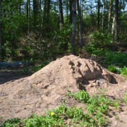 ������ ������� ����� ������� ��� �����?