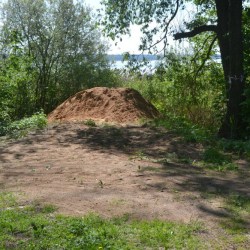 ������ ������� ����� ������� ��� �����?