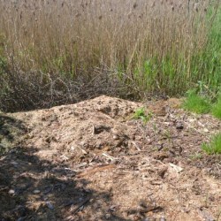 ������ ������� ����� ������� ��� �����?