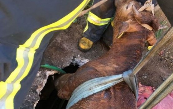 �������� ������ ������