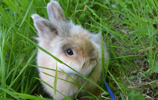 � ����������� �������� ��������� ��� ��������� � ��������