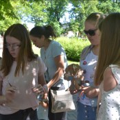 ���� ��������� ����������� � ���������� ��� �������� �����