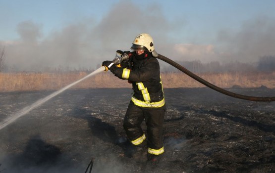 �������� � ��������: ������ ���������, ������� ������� � ������