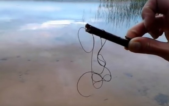 �������� ����� ����� ��������� � ��������� ��������