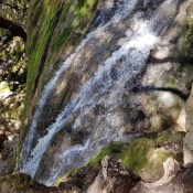 �� ���� � ������ �����: ������������� ��������