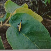 ��������� �������� �� ������������ ������ �� �����������