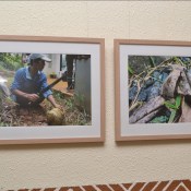 ��������� �������� �� ������������ ������ �� �����������