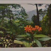 ��������� �������� �� ������������ ������ �� �����������