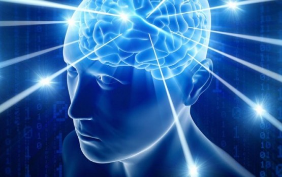 У жителей северной Европы снизился средний показатель коэффициента IQ 
