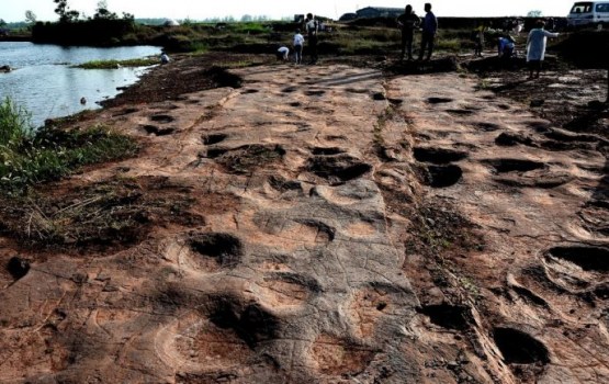 � ����� ����� ����� ���������� ��������� 120 ��� ���