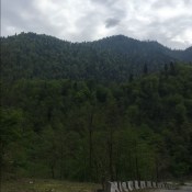 �� ���� � ������ �����: ��������� � ������������ ������