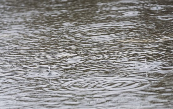 �� ������ �������� �������� �����