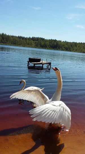 �� ����� �������� ��-�� ����������� ������� ������