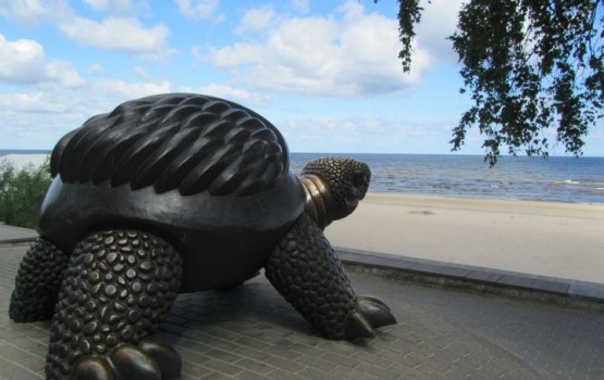 ���� ������ ����������� ��������: ����������� ����� ������ � �����