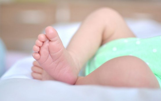 � ������ ���������� �������� ����������� � �������� ������ ���������