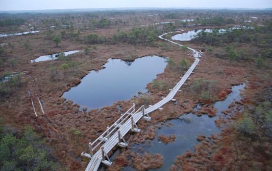 �������������� ��������� ������ �� ����������� � Instagram