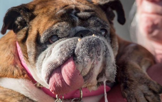 ������ ����� ��������� � ���� ������