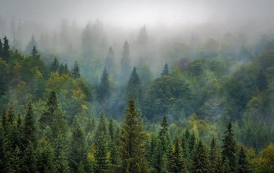 �������: � ������ ������ ������� ������ ���������