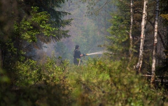 Пожар под Талси: пламя удалось удержать