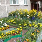 ��������: ��������� ������ ���������� �����