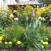 ��������: ��������� ������ ���������� �����