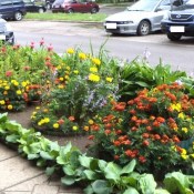 ��������: ��������� ������ ���������� �����