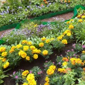 ��������: ��������� ������ ���������� �����