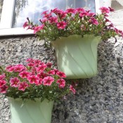 ��������: ��������� ������ ���������� �����