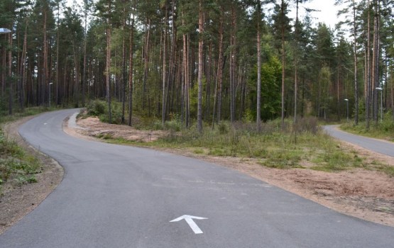 ������� ���� ��������� �������� � �������