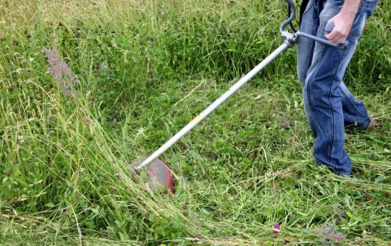 ��� �������� ��������� ��������?