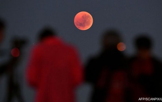 ��� ������ ������ "�������� ����": ������� ���������