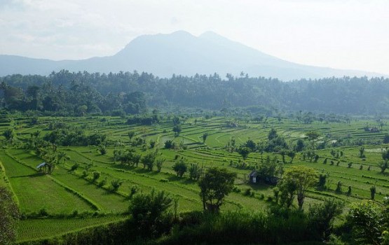 � ��������� 560 ����������� ��������� ���������������� �� ����