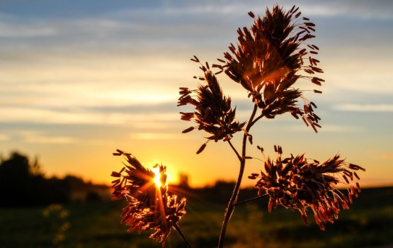 �������� ������� ��������� ���� �� ���� �����