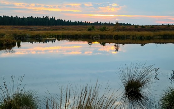 �� ����� � ���������� �������� ������� ������ ��������