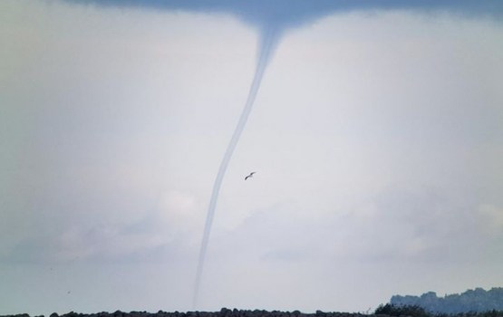 � ������ ������� ����� ������� �������