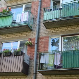 ������ � �� �������?