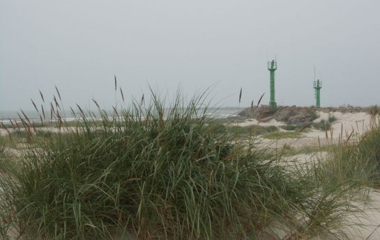 � ������ ��� ������� ����� �� ����� ����� �������