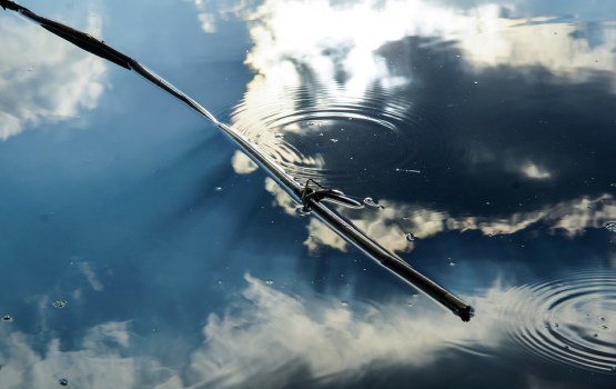 ���� � ���������� �������� ������, ��� ������ �� �����