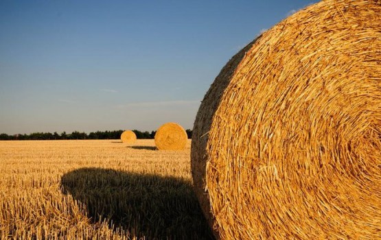 ������ ��������: ���� � ������ - ������ ��������� ����������� ����������