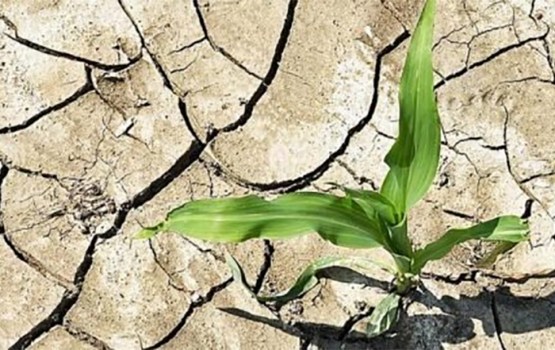 ���������� �� ������� ����