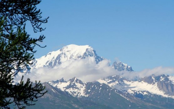 ������� ������� ���������� ���������� ��������� ���� �� ������� 