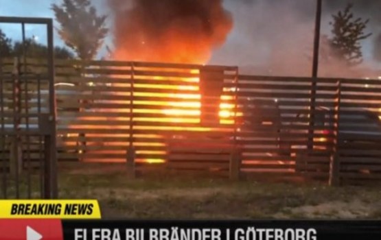 �����: � ������� ������ ���� � ������ �������� ������� �����������
