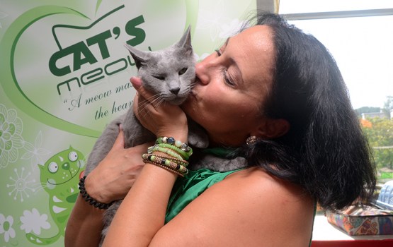 � ���������� ��������� ������ ����� ������