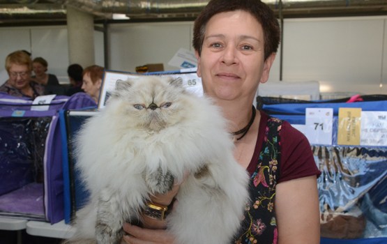 � ���������� ��������� ������ ����� ������