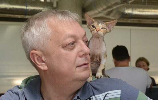 � ���������� ��������� ������ ����� ������